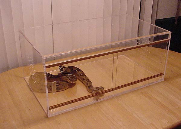 Acrylic Reptile Cage