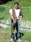 Photo by Daniel of his Male BCC boa that is 9 years old and 9 feet 7 inches long.